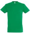 11380 Regent T-shirt Kelly Green colour image